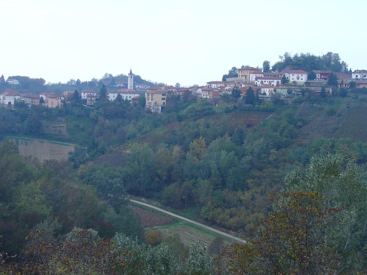 Paesaggio di Montaldo Scarampi (1)