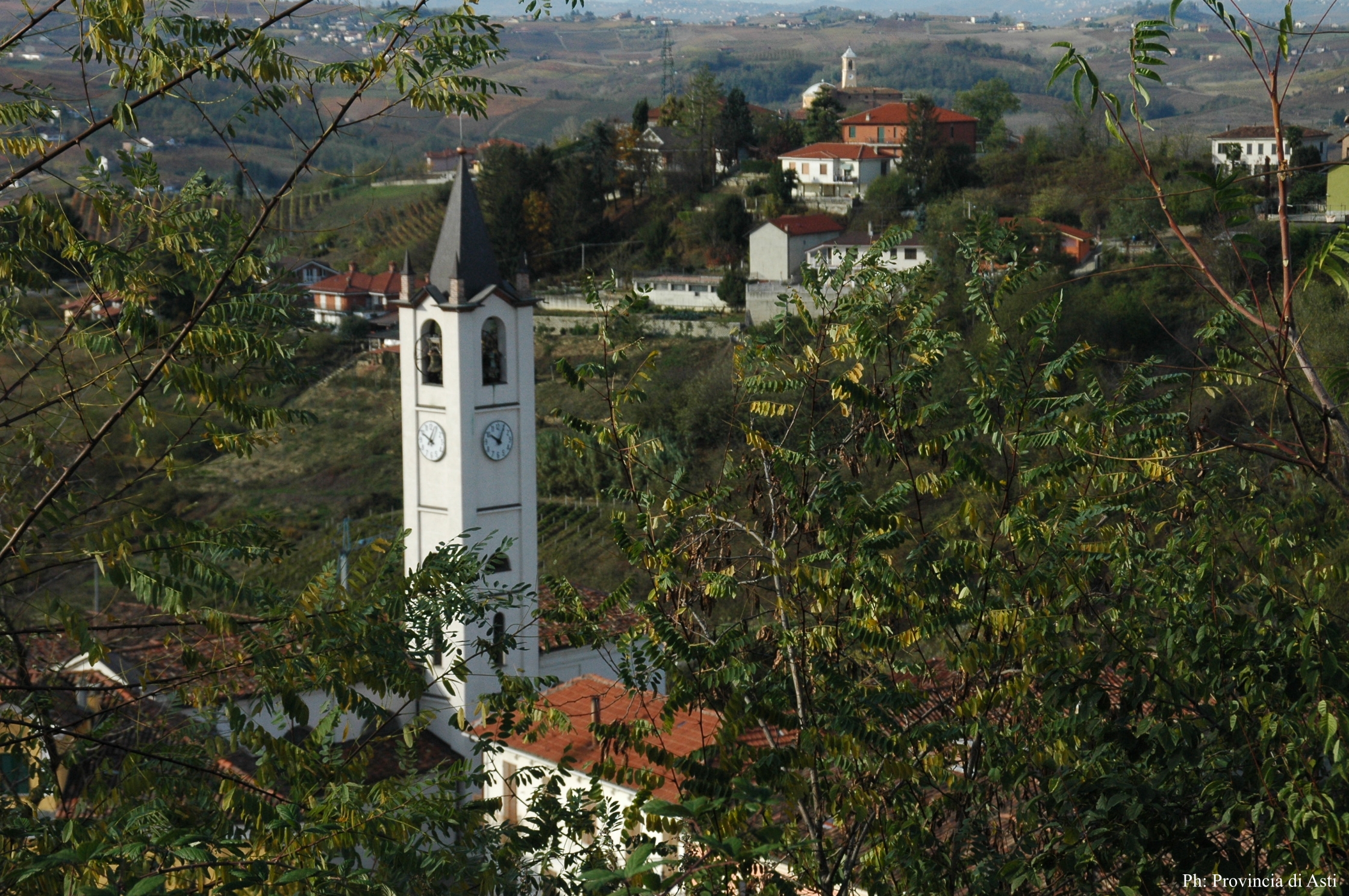 Paesaggio di Montaldo Scarampi (4)