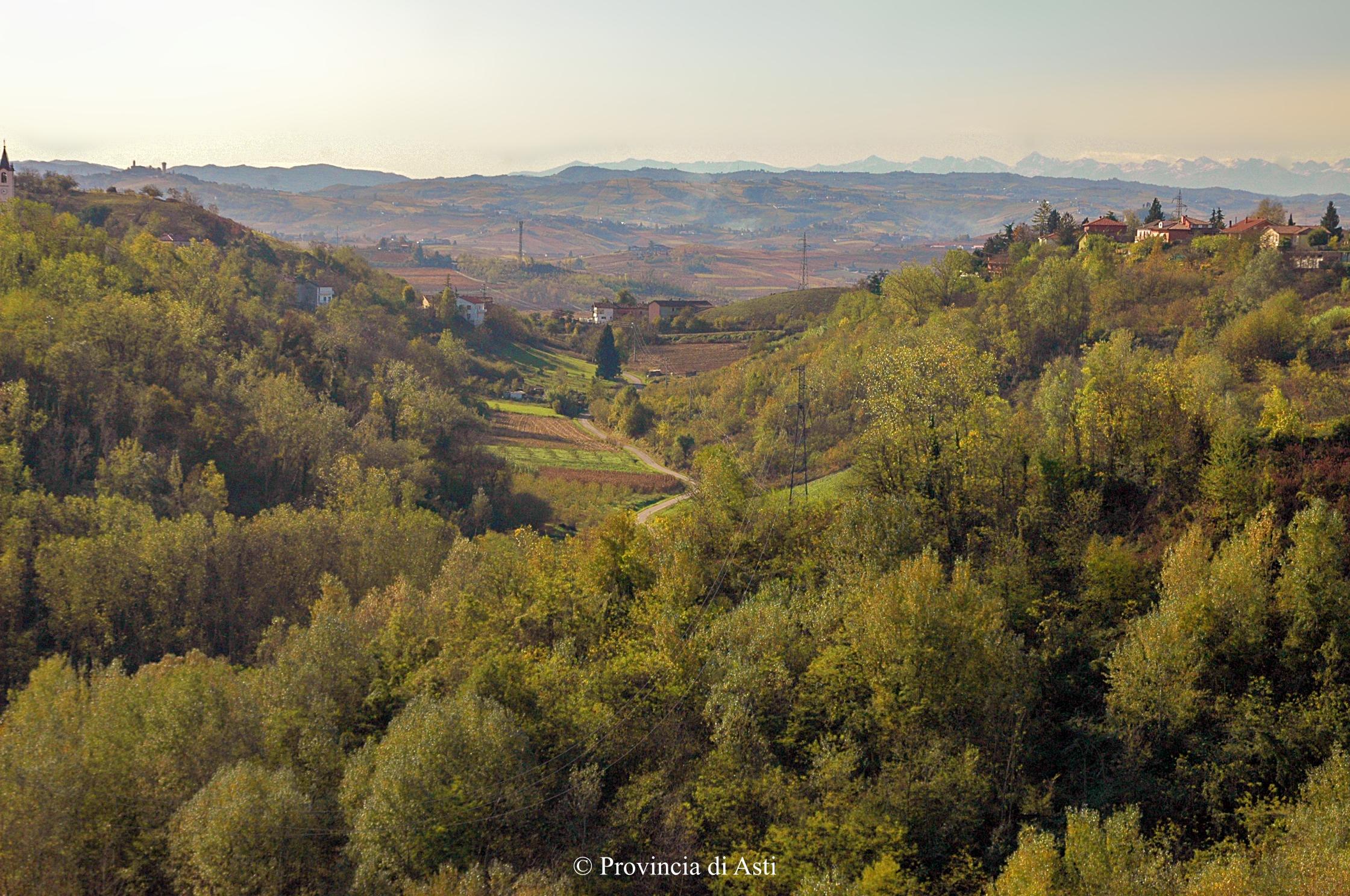 Paesaggio di Montaldo Scarampi (5)